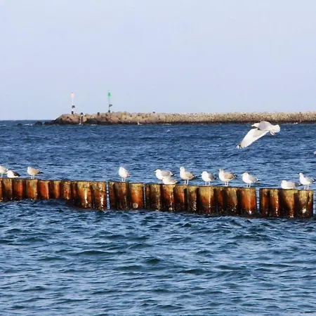 Wellenbrecher Sauna - Whirlpool - Kamin - Wlan - Wii - Bis 6 Personen *