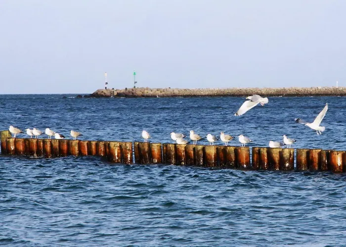 Wellenbrecher Sauna - Whirlpool - Kamin - Wlan - Wii - Bis 6 Personen *