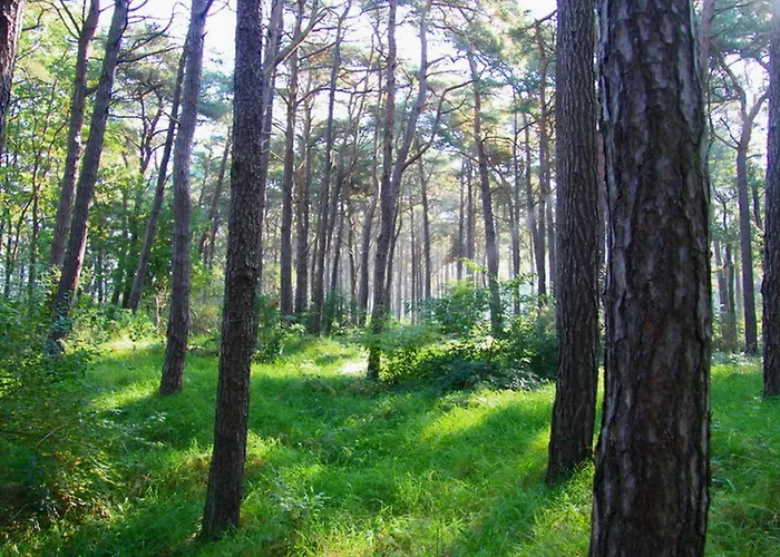 Wellenbrecher Sauna - Whirlpool - Kamin - Wlan - Wii - Bis 6 Personen